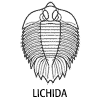 Lichida