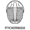 Ptychopariida